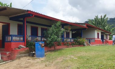 EN VENTA FINCA CAFETERA DE 120 CUADRAS EN SANTUARIO,RISARALDA