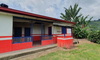 EN VENTA FINCA CAFETERA DE 120 CUADRAS EN SANTUARIO,RISARALDA