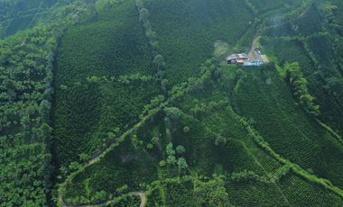 EN VENTA FINCA CAFETERA DE 120 CUADRAS EN SANTUARIO,RISARALDA