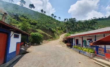 EN VENTA FINCA CAFETERA DE 120 CUADRAS EN SANTUARIO,RISARALDA
