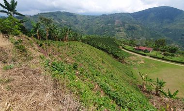 EN VENTA FINCA CAFETERA DE 120 CUADRAS EN SANTUARIO,RISARALDA