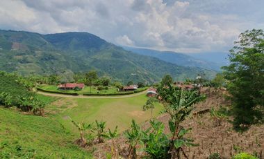 EN VENTA FINCA CAFETERA DE 120 CUADRAS EN SANTUARIO,RISARALDA
