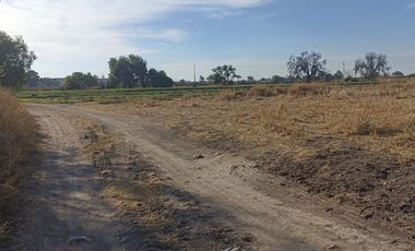 RENTA TERRENO CELAYA