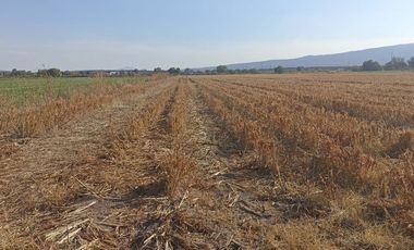 RENTA TERRENO CELAYA