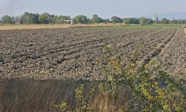 RENTA TERRENO CELAYA