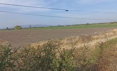 RENTA TERRENO CELAYA