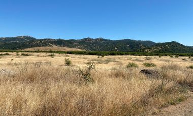 Parcela en Teno, Maule