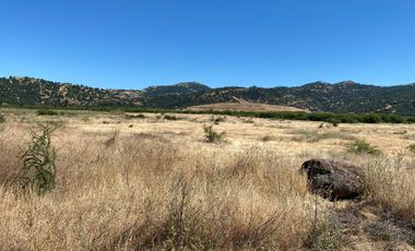 Parcela en Teno, Maule