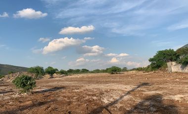 Terreno Industrial en Renta