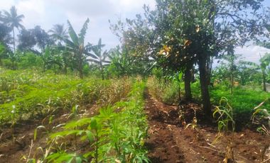 2100 M2 Tanah Strategis Pinggir Jalan Utama Desa Cilame, Ngamprah, Bandung Barat
