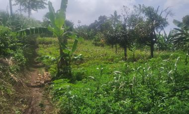 2100 M2 Tanah Strategis Pinggir Jalan Utama Desa Cilame, Ngamprah, Bandung Barat
