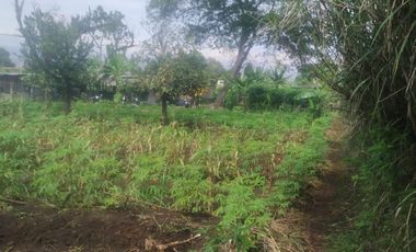 2100 M2 Tanah Strategis Pinggir Jalan Utama Desa Cilame, Ngamprah, Bandung Barat