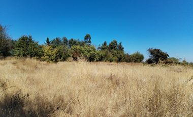 Parcela en San Clemente, Talca
