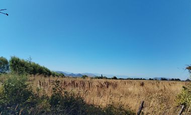 Parcela en San Clemente, Talca