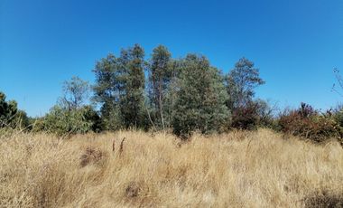 Parcela en San Clemente, Talca