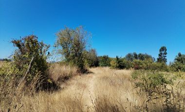 Parcela en San Clemente, Talca