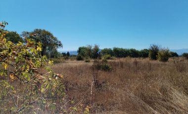 Parcela en San Clemente, Talca