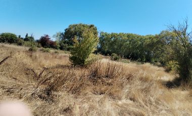 Parcela en San Clemente, Talca