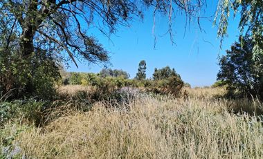 Parcela en San Clemente, Talca