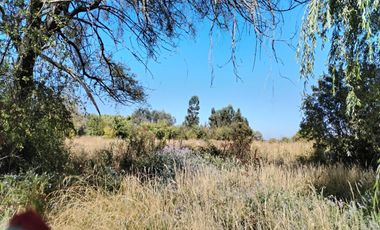 Parcela en San Clemente, Talca