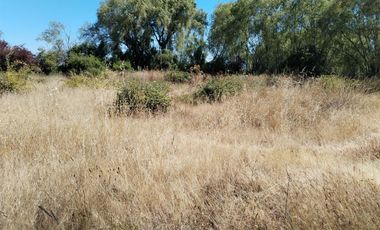 Parcela en San Clemente, Talca