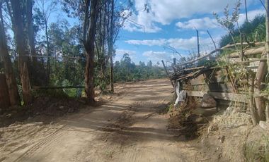 RENTA TERRENO LLANO CHICO