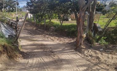 RENTA TERRENO LLANO CHICO