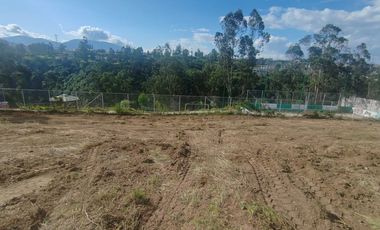 RENTA TERRENO LLANO CHICO