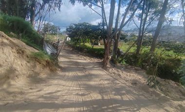 RENTA TERRENO LLANO CHICO