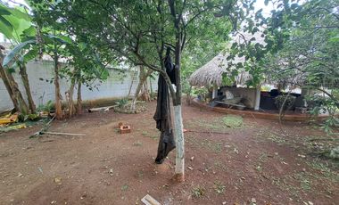 VENDO CASA CAMPESTRE EN TURBACO BOLIVAR - SECTOR LAURELES