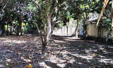 TERRENO EN BACALAR