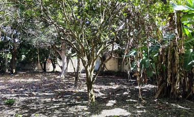 TERRENO EN BACALAR