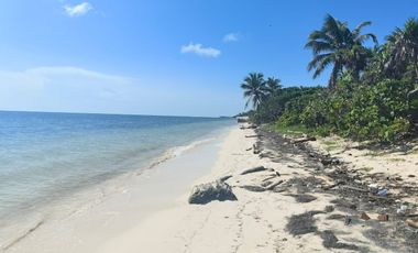 PLAYA DE MAHAHUAL