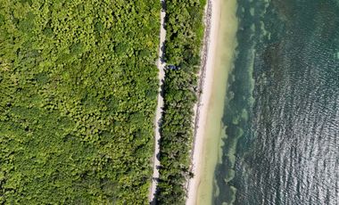 PLAYA DE MAHAHUAL
