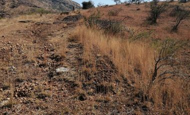 Terreno en cerro de la Sirena, Guanajuato Capital