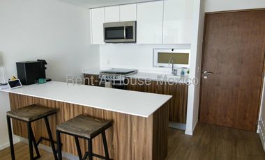 Departamento en Renta en Parques Plaza Nuevo Polanco