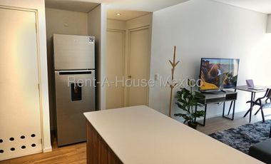 Departamento en Renta en Parques Plaza Nuevo Polanco