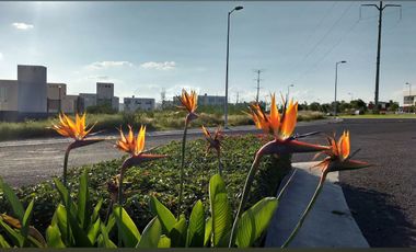 GRAN OPORTUNIDAD DE HACER CRECER TU PATRIMONIO ¡INVERSION INTELIGENTE EN QUERETARO!