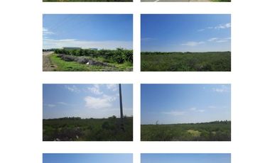 VENDO TERRENO AGROINDUSTRIAL DE 87,000 M2 CON ZONIFICACION I2 EN SULLANA PIURA