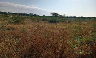 VENDO TERRENO AGROINDUSTRIAL DE 87,000 M2 CON ZONIFICACION I2 EN SULLANA PIURA