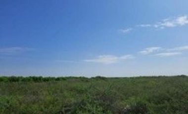 VENDO TERRENO AGROINDUSTRIAL DE 87,000 M2 CON ZONIFICACION I2 EN SULLANA PIURA