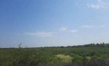 VENDO TERRENO AGROINDUSTRIAL DE 87,000 M2 CON ZONIFICACION I2 EN SULLANA PIURA
