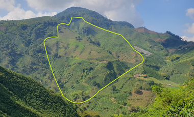 FINCA CAFETERA EN VENTA DE 33 CUADRAS EN SANTUARIO, RISARALDA.