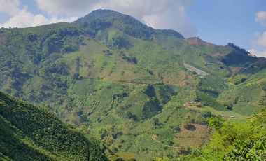 FINCA CAFETERA EN VENTA DE 33 CUADRAS EN SANTUARIO, RISARALDA.