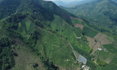 FINCA CAFETERA EN VENTA DE 33 CUADRAS EN SANTUARIO, RISARALDA.