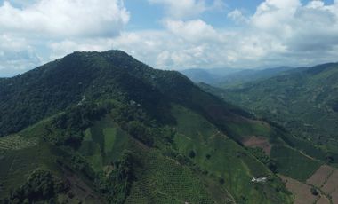 FINCA CAFETERA EN VENTA DE 33 CUADRAS EN SANTUARIO, RISARALDA.