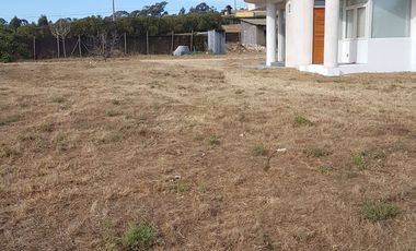 Punta de Piedra a 3K de rotonda Concón