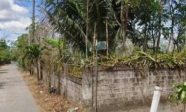 Residential Lot for Sale in Buho, Amadeo, Cavite
