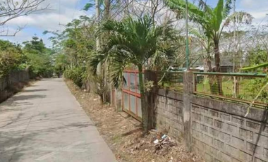 Residential Lot for Sale in Buho, Amadeo, Cavite