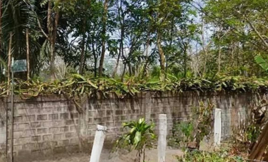 Residential Lot for Sale in Buho, Amadeo, Cavite